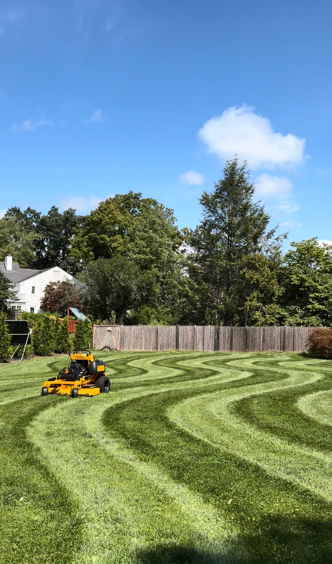 Mower carving waves into a freshly striped backyard lawn