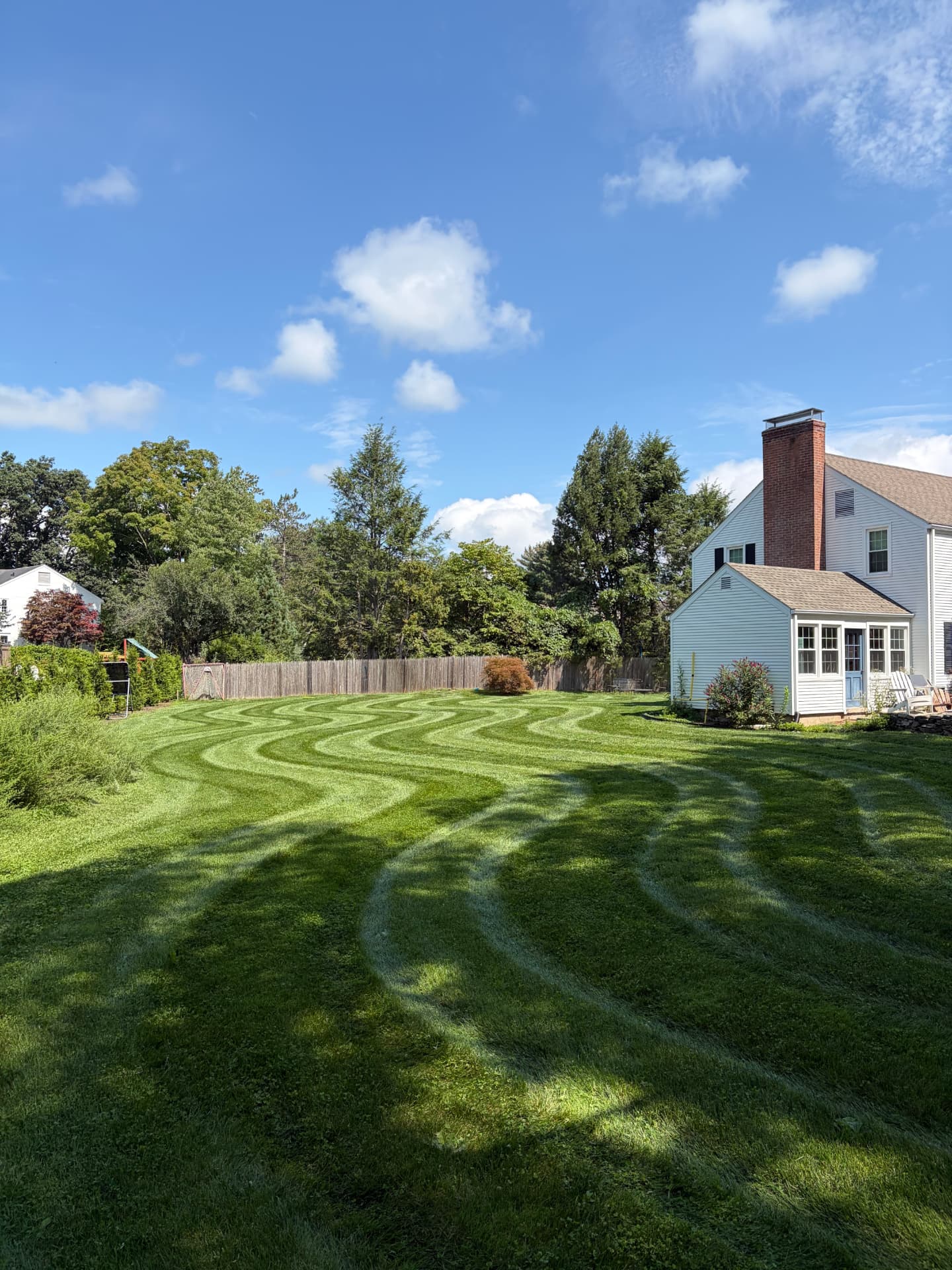Lawn & Maintenance