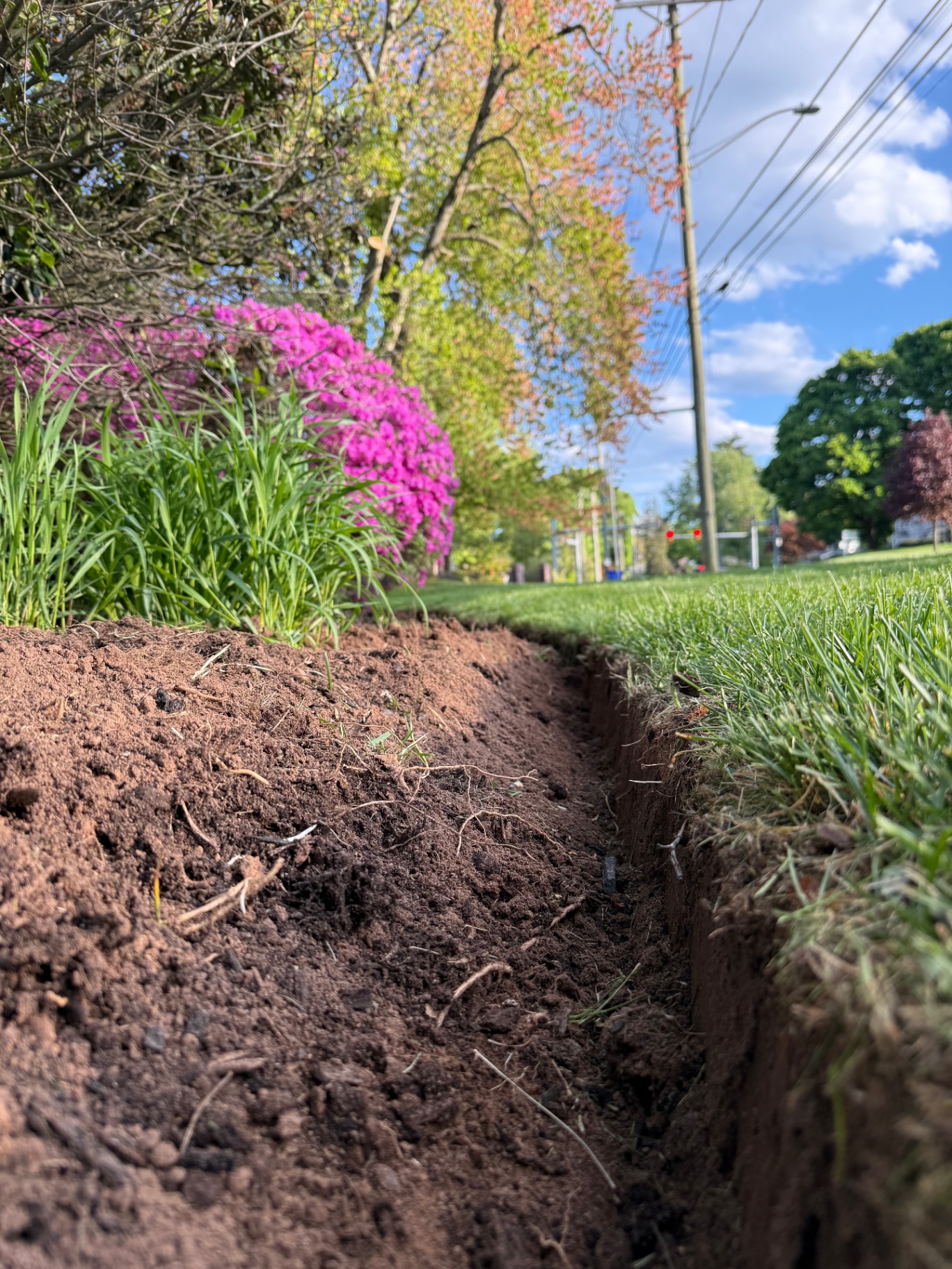 Clean bed edging along a lawn