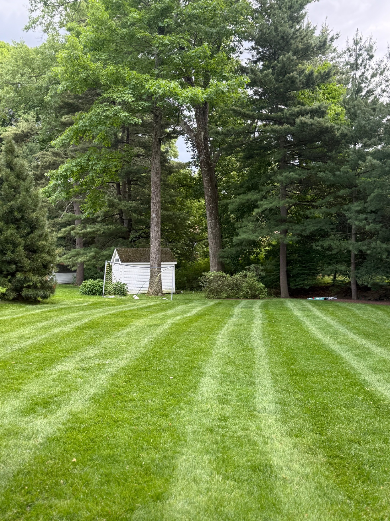 Striped, freshly mowed backyard lawn